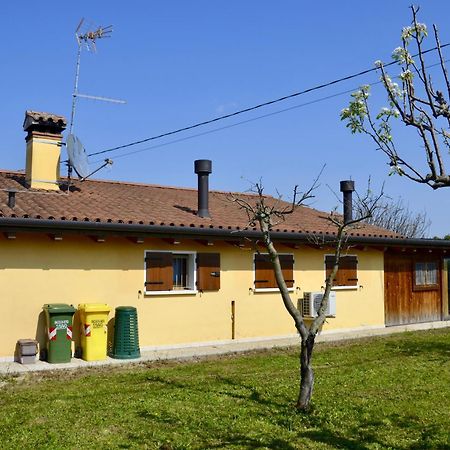 Вілла A Casa Di Amici Vidor Екстер'єр фото